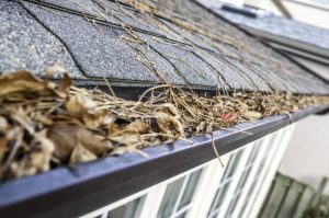 Caring For Your Gutters During The Summer To Prepare For Fall