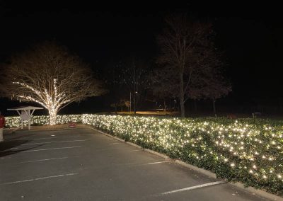 LED lighting